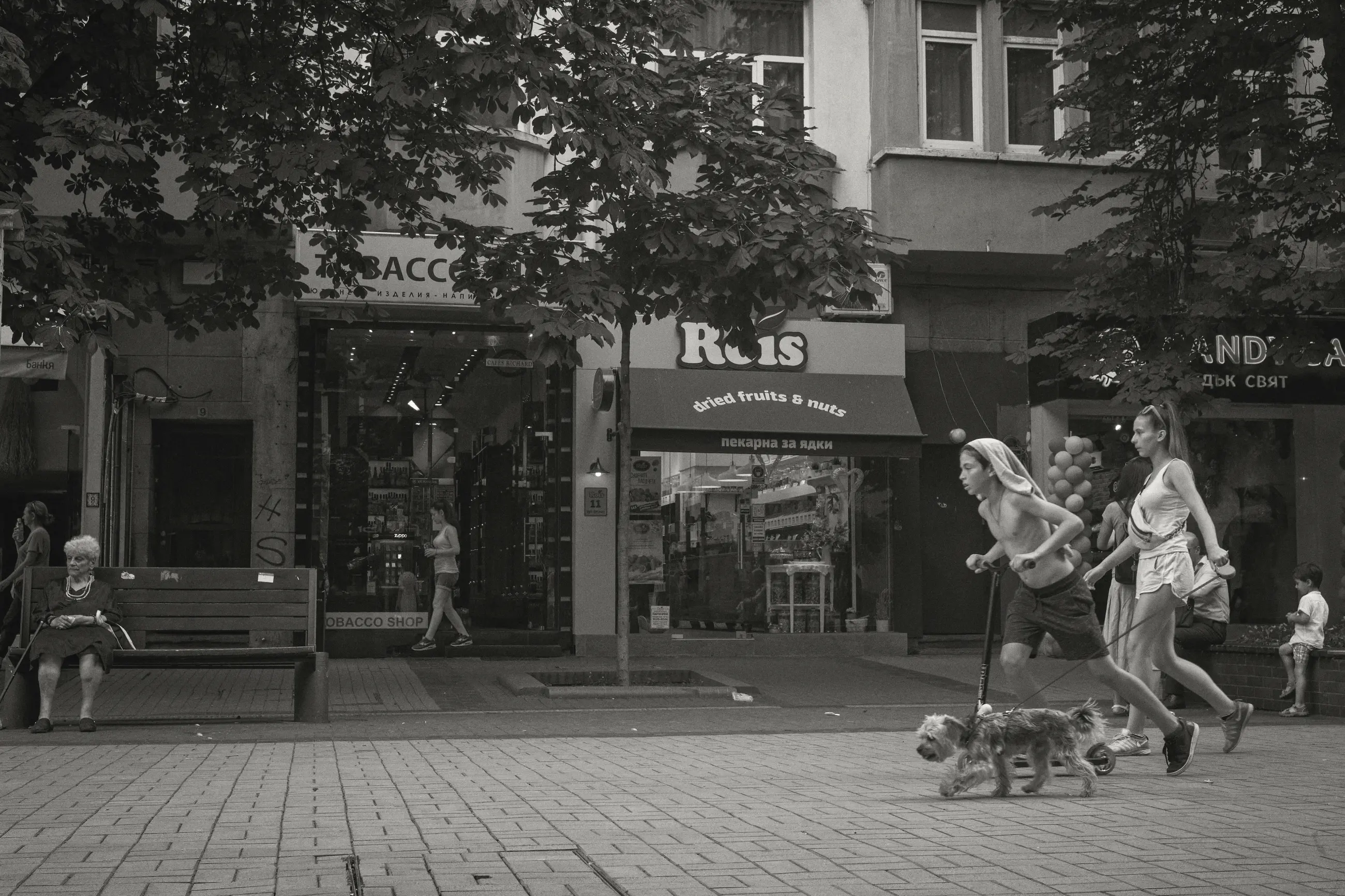 Bulgaria - Image 2