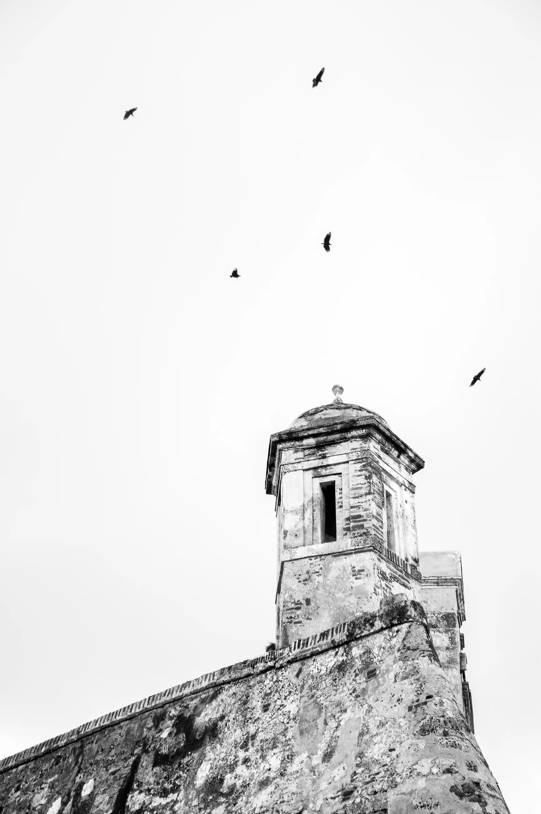 Colombia - Image 6