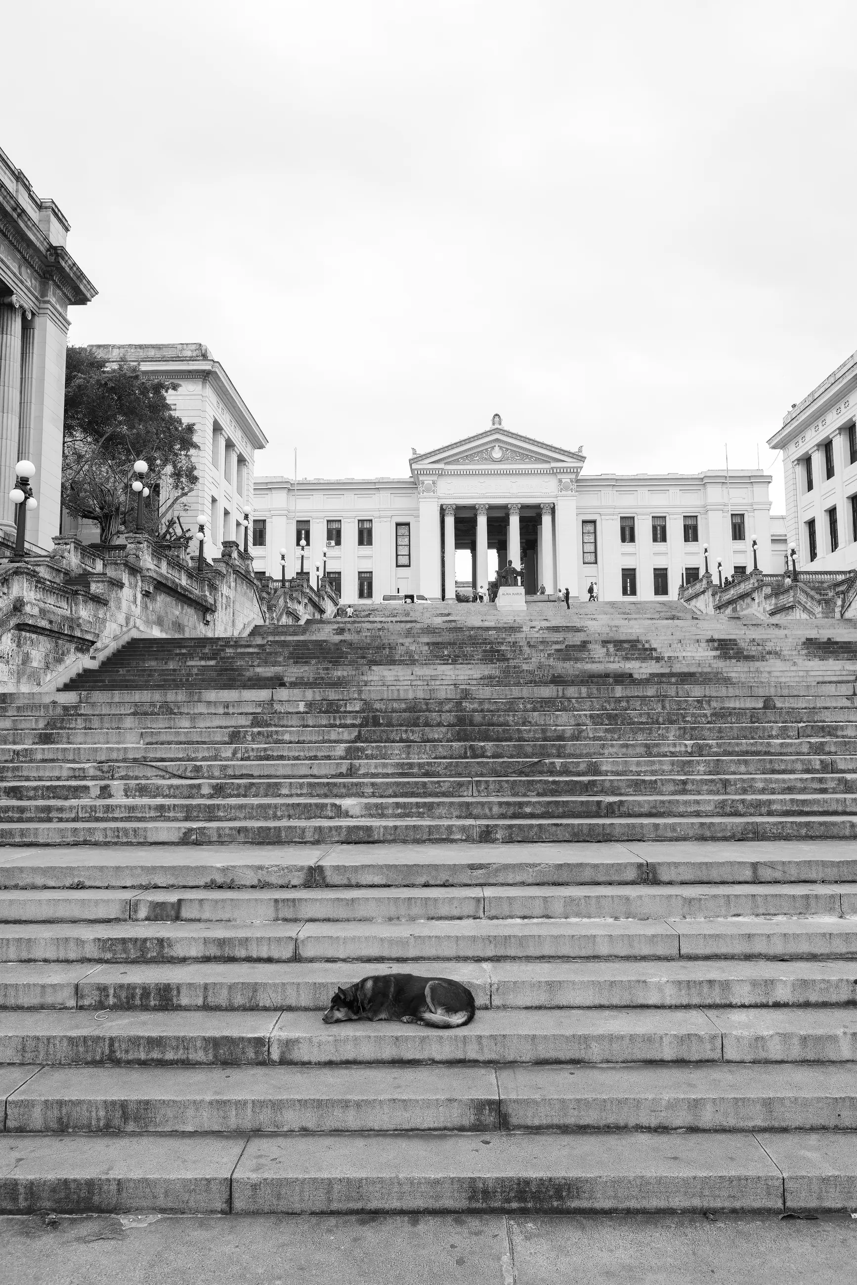 Cuba - Image 8