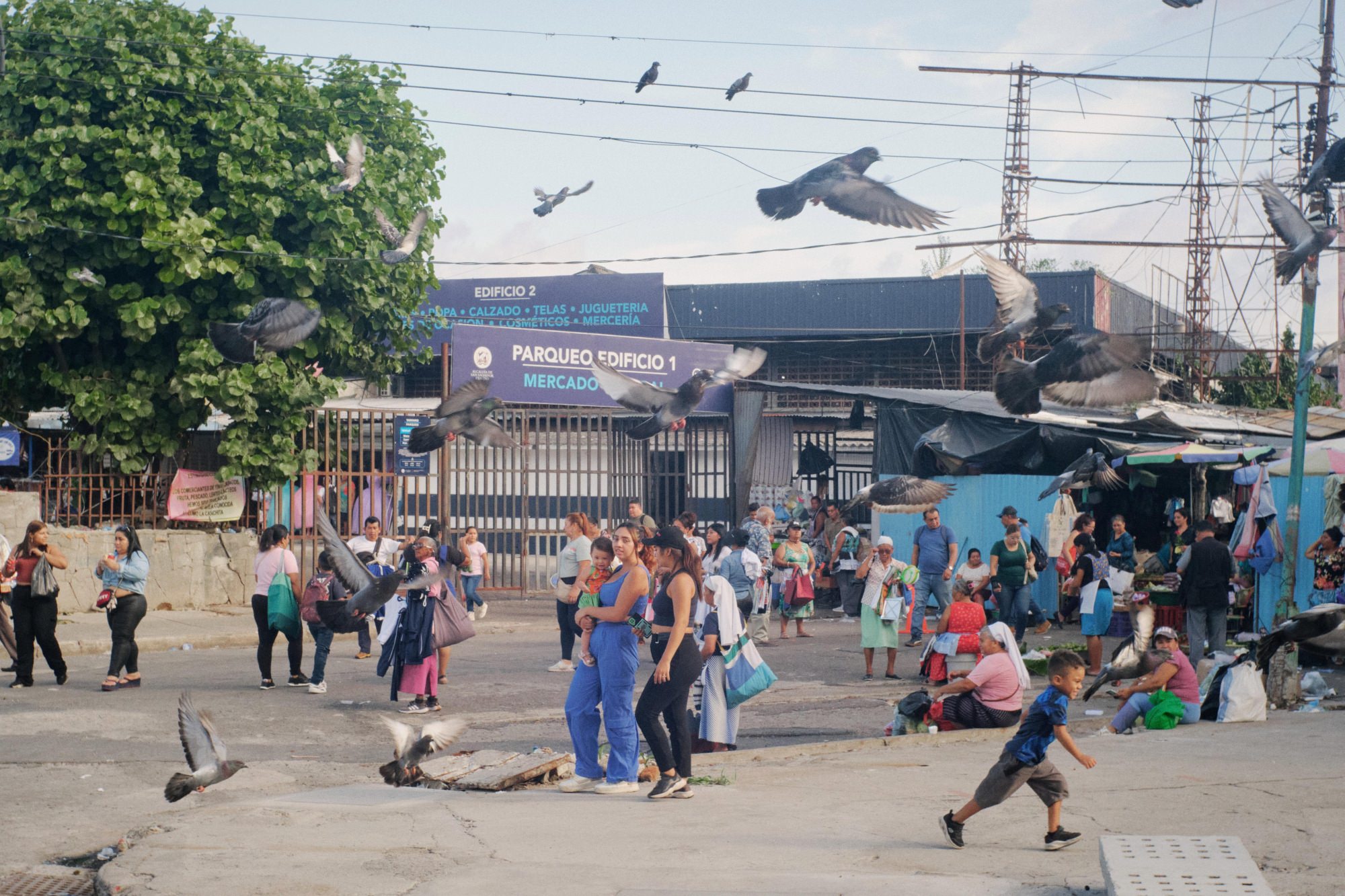 El Salvador - Image 2