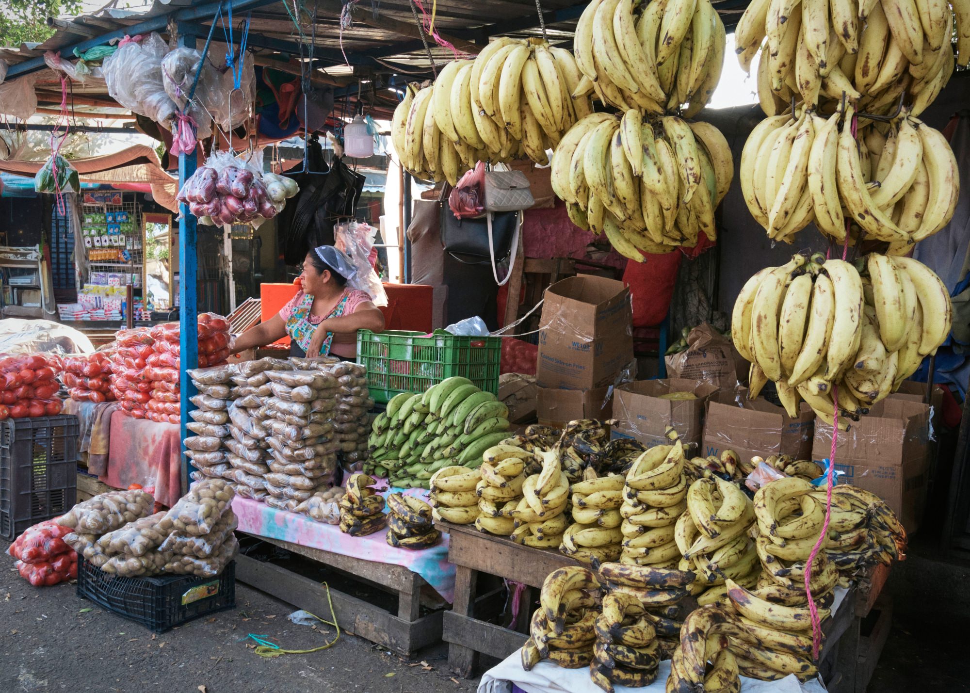 El Salvador - Image 20