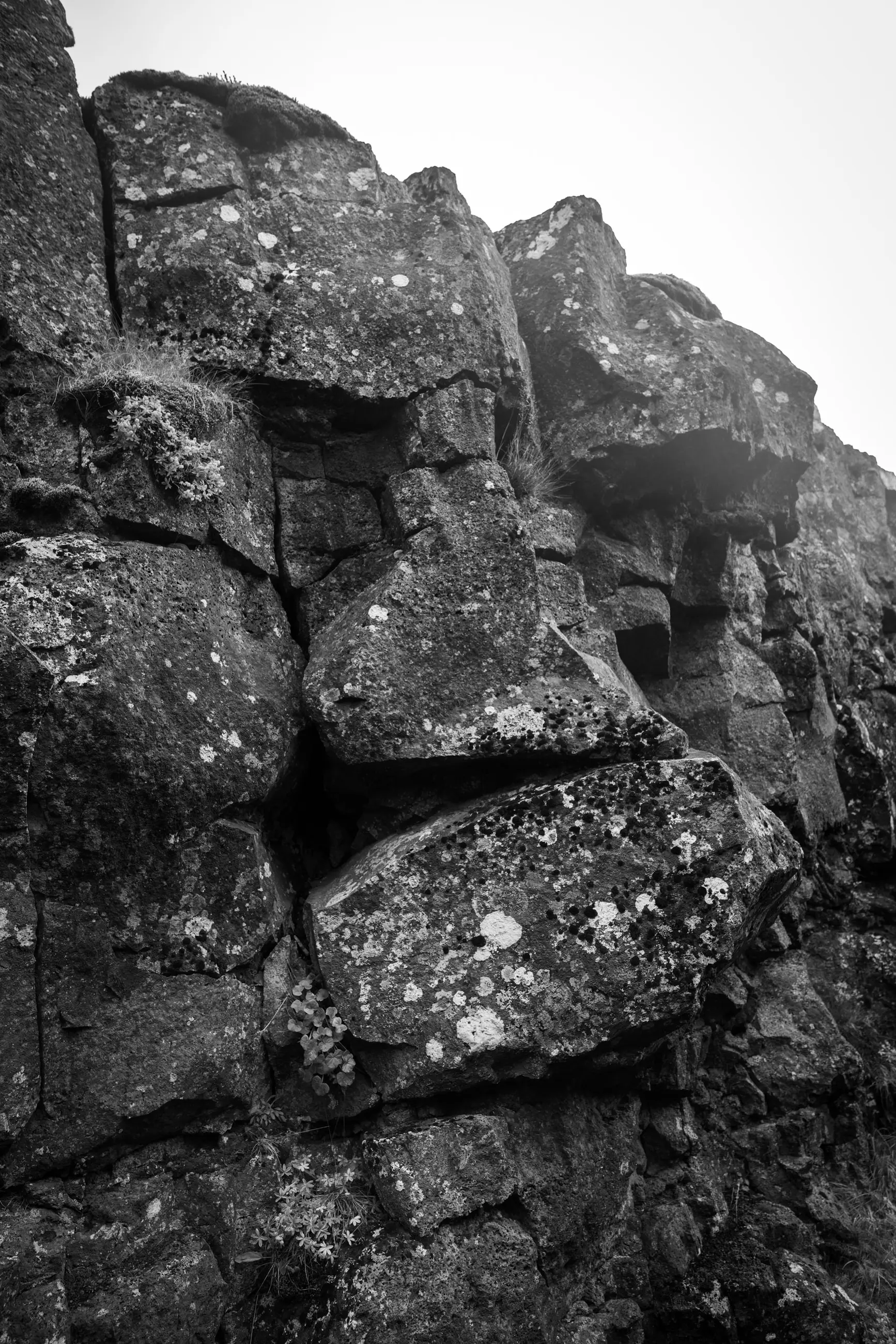 Iceland - Image 11