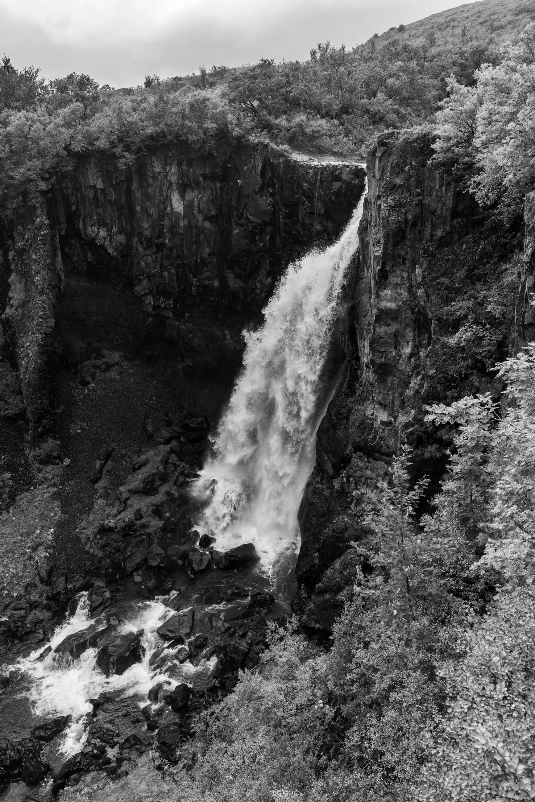 Iceland - Image 18