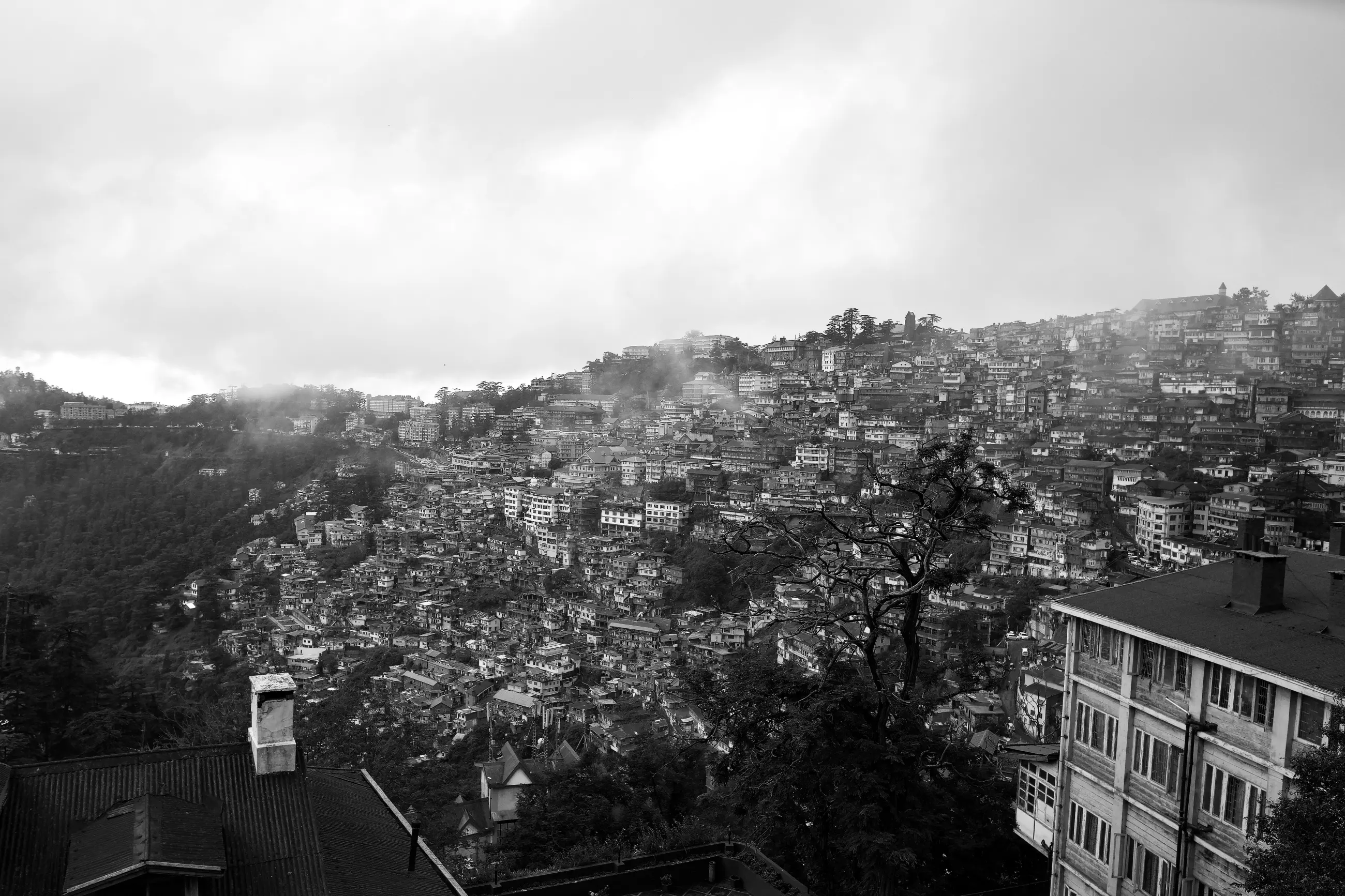 India - Image 10