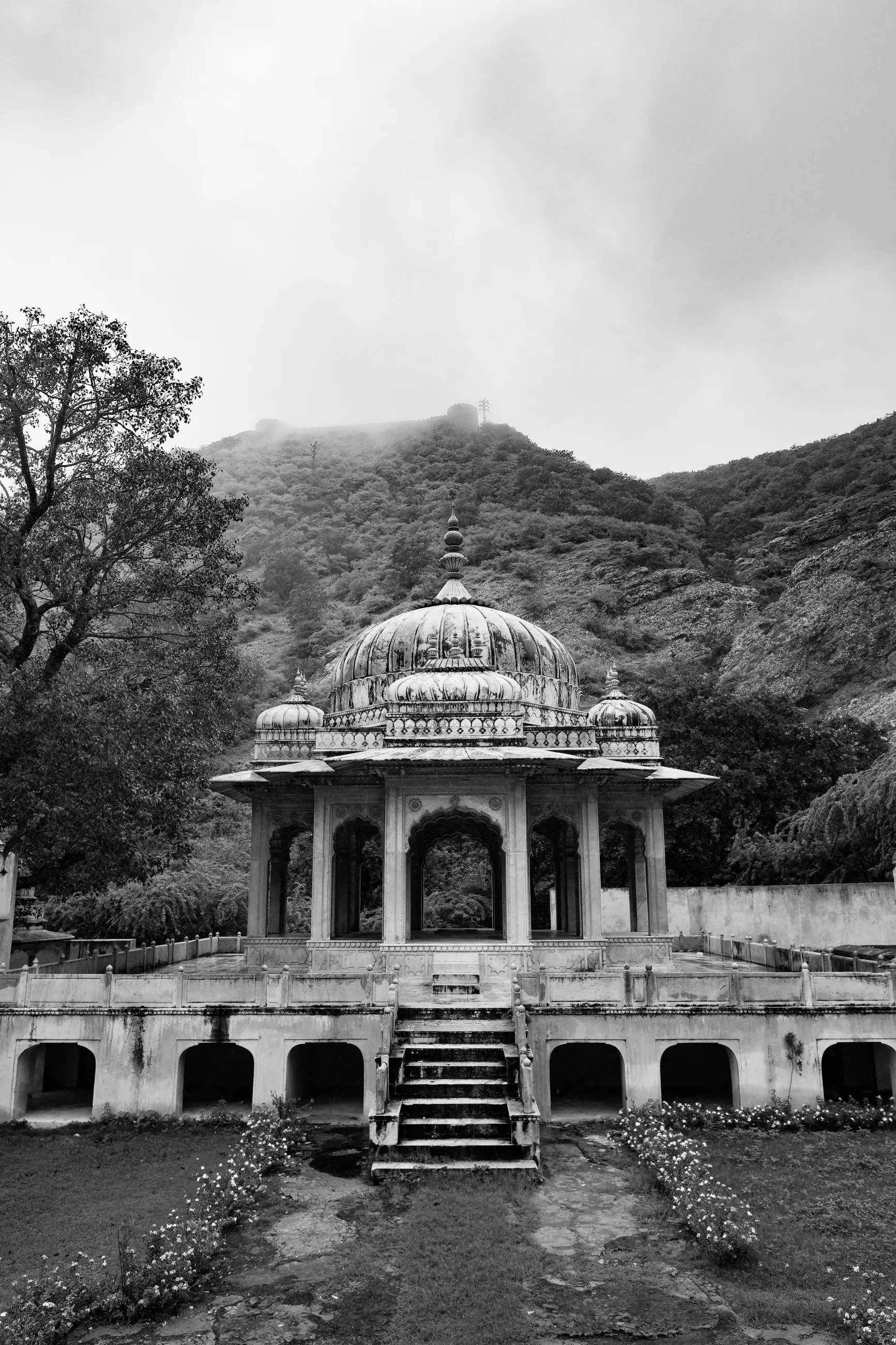 India - Image 9