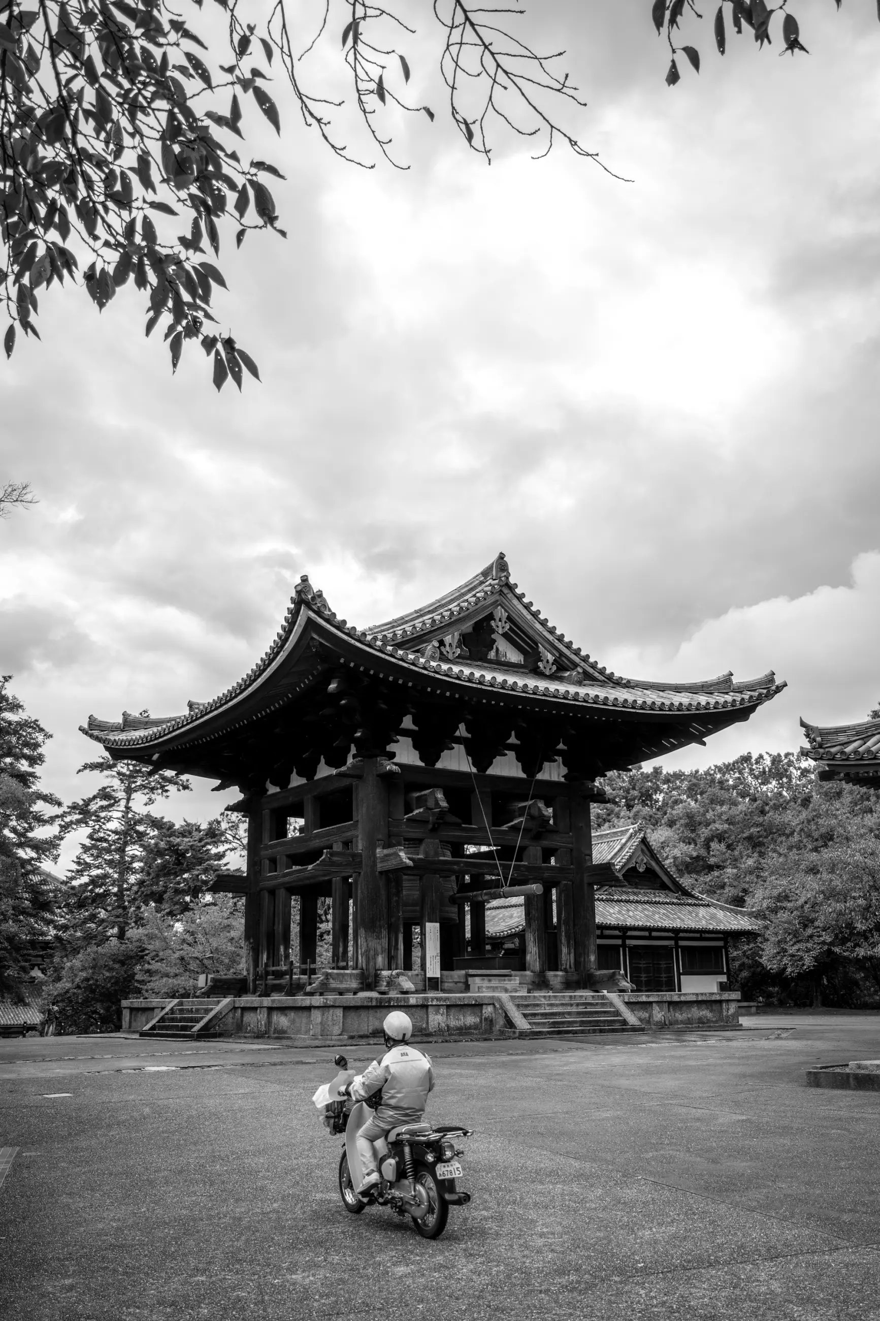 Japan - Image 19