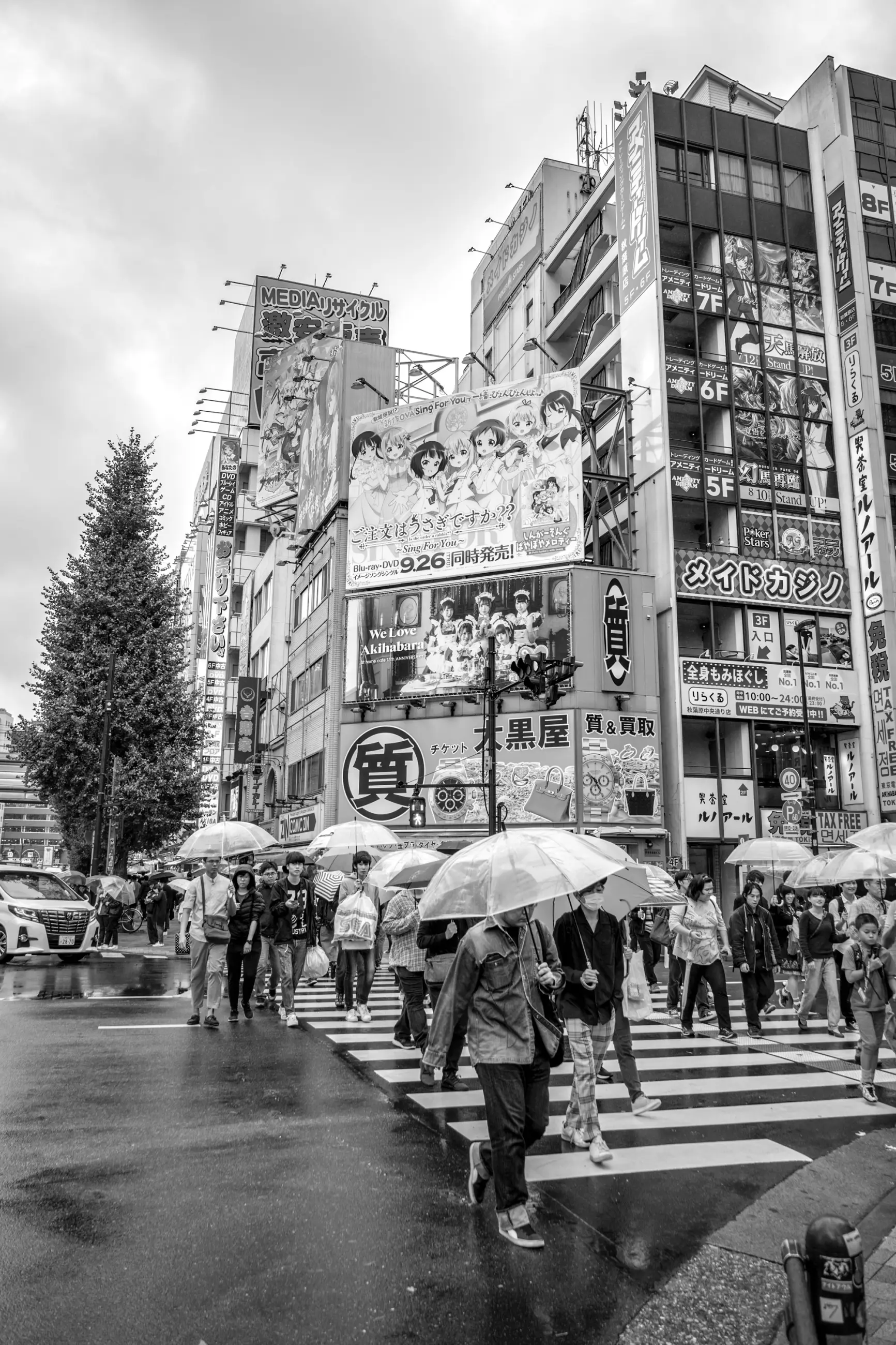 Japan - Image 9