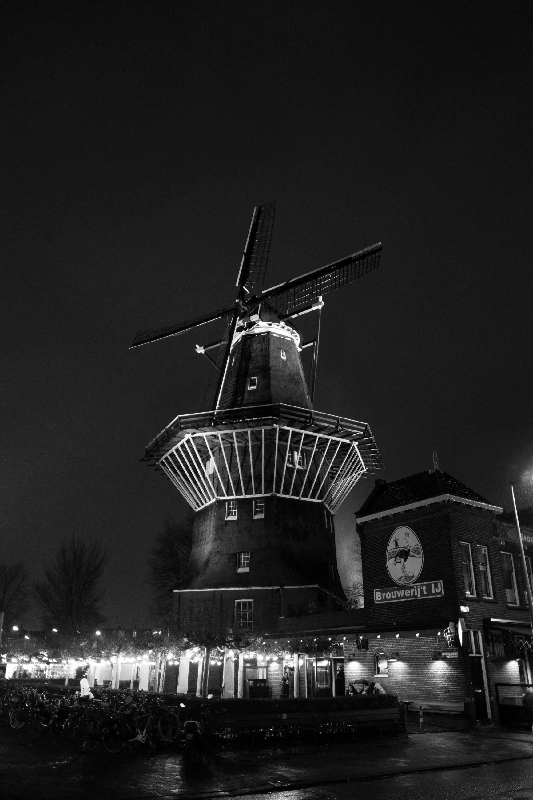 Netherlands - Image 10