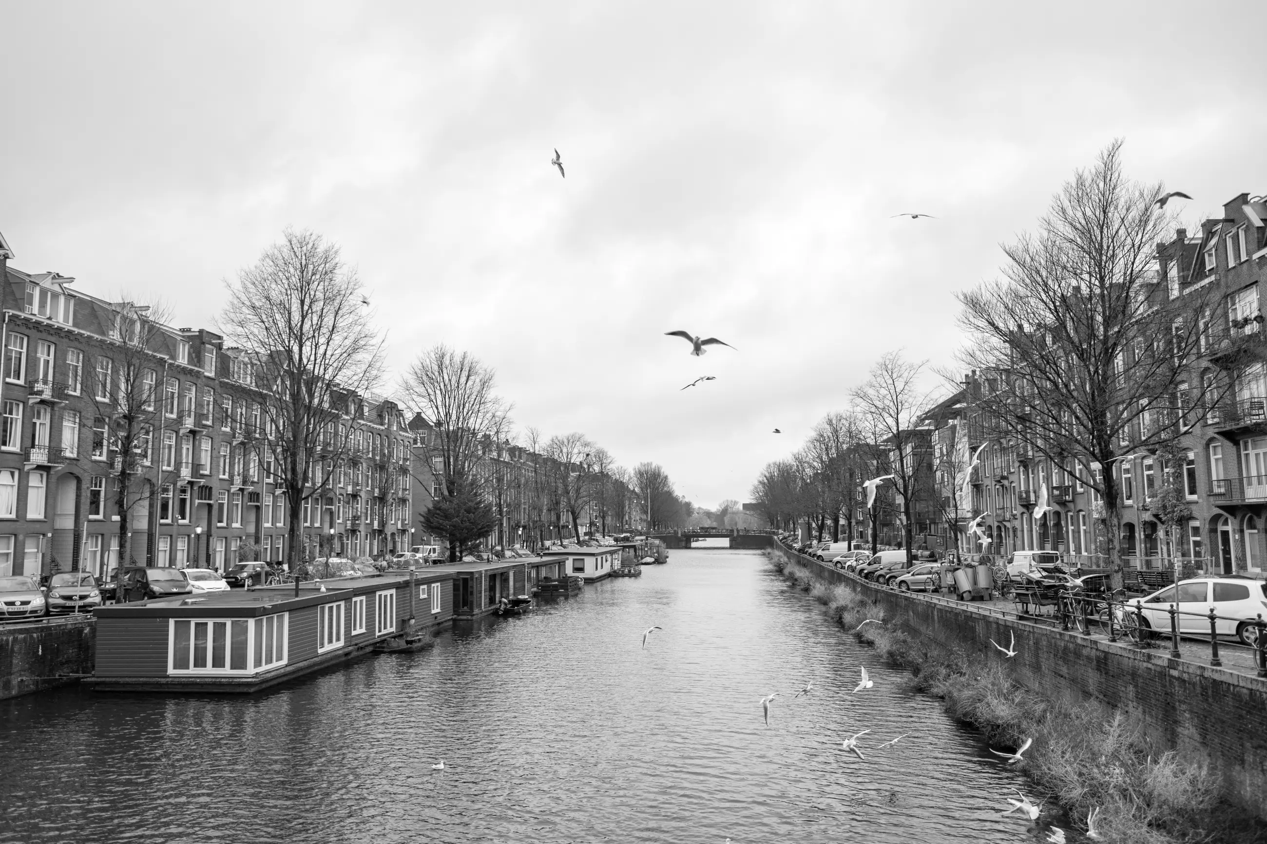 Netherlands - Image 4