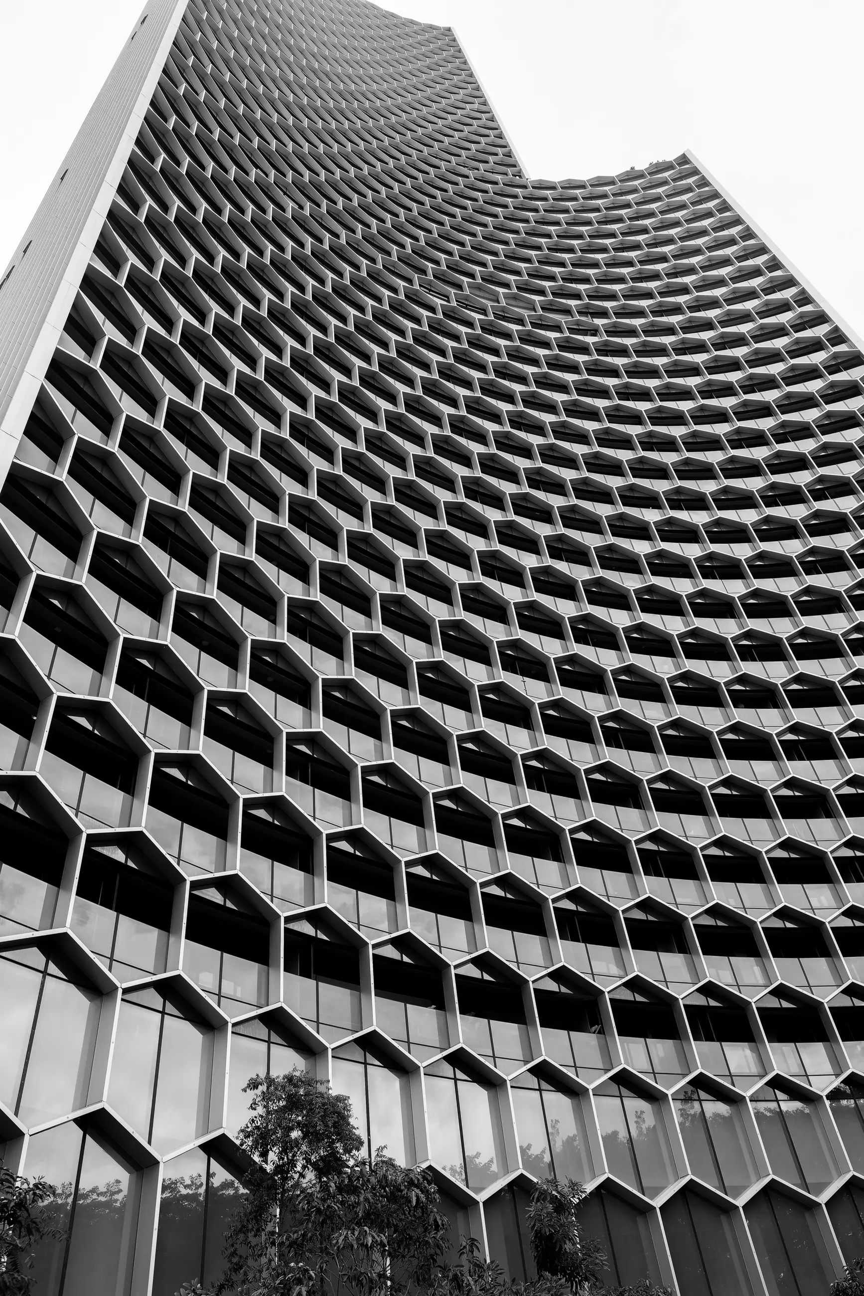 Singapore - Image 4