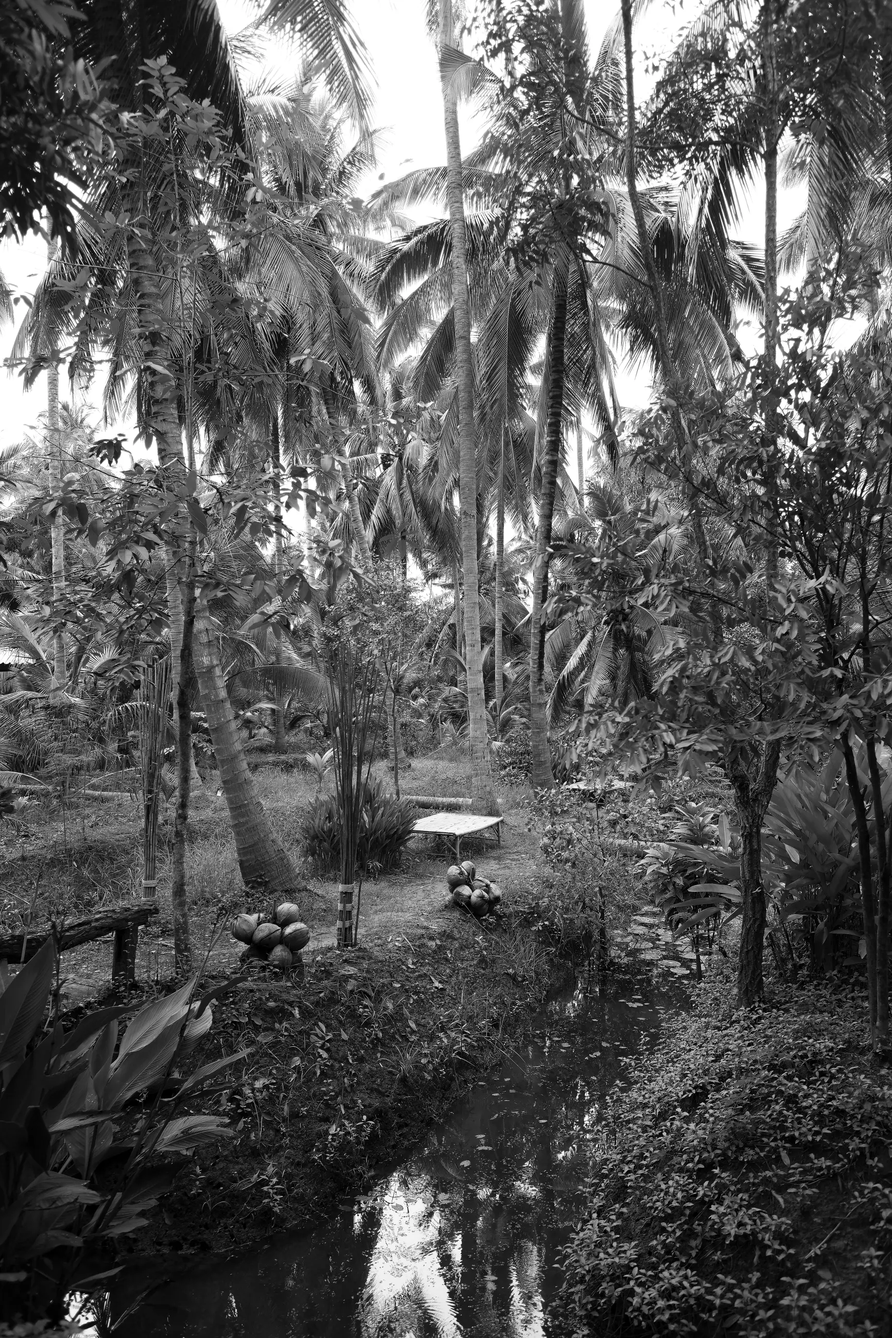 Thailand - Image 8
