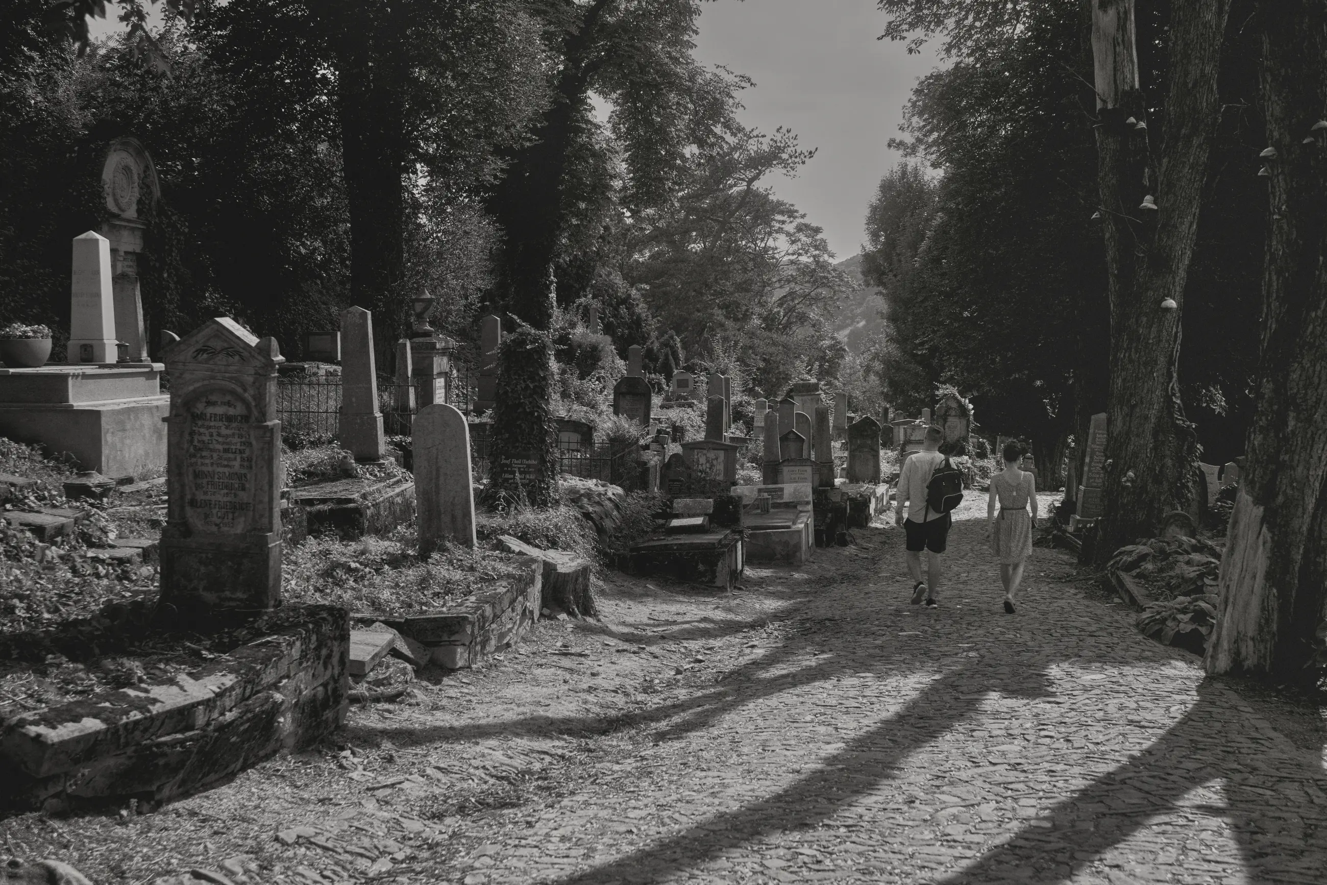 Transylvania - Image 12
