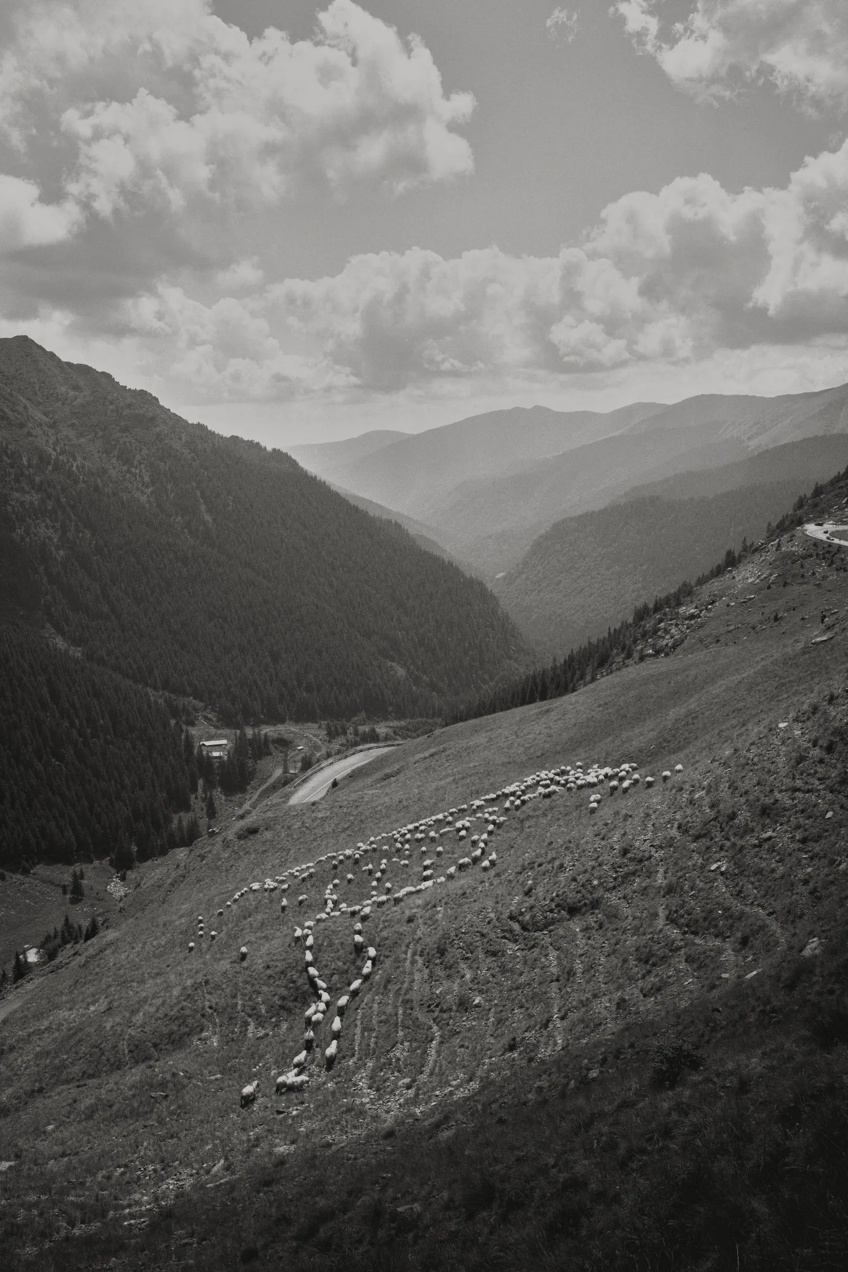 Transylvania - Image 21